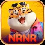 nrnr Master Casino App