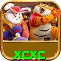 xcxc - Live Pro